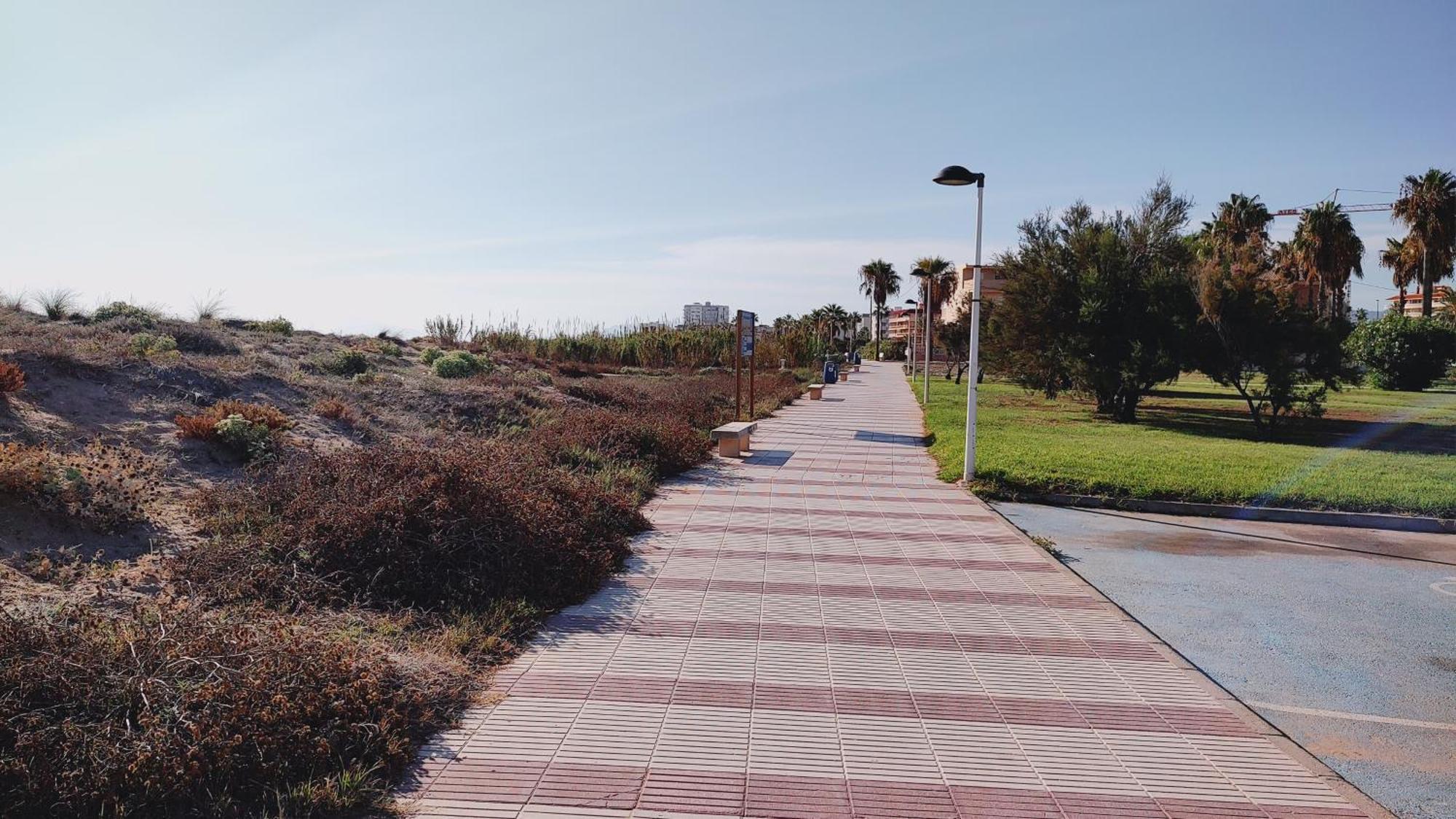 Estudio En Primera Linea De Playa Daimús